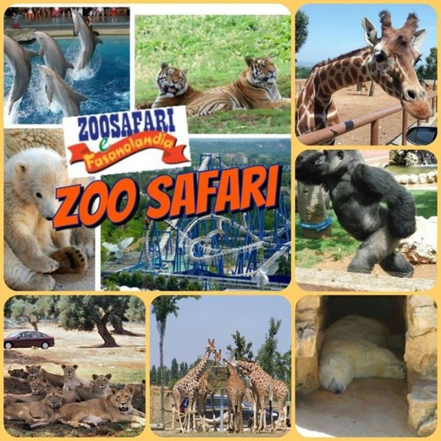 acquisto biglietti zoo safari fasano